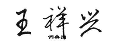 骆恒光王祥兴行书个性签名怎么写