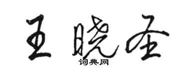 骆恒光王晓圣行书个性签名怎么写