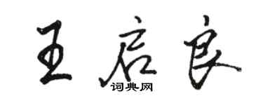 骆恒光王启良行书个性签名怎么写