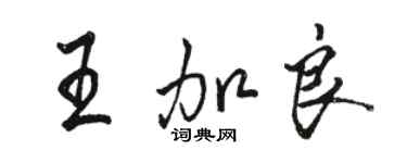 骆恒光王加良行书个性签名怎么写
