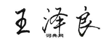骆恒光王泽良行书个性签名怎么写