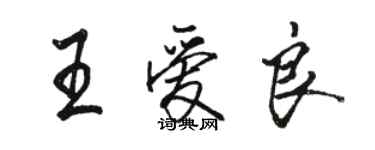 骆恒光王爱良行书个性签名怎么写