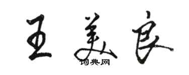 骆恒光王美良行书个性签名怎么写