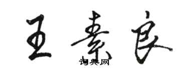骆恒光王素良行书个性签名怎么写
