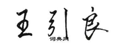骆恒光王引良行书个性签名怎么写