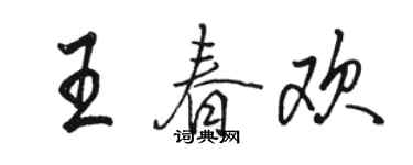 骆恒光王春欢行书个性签名怎么写