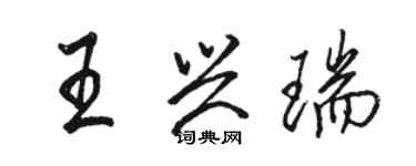 骆恒光王兴瑞行书个性签名怎么写