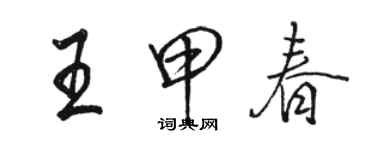 骆恒光王甲春行书个性签名怎么写