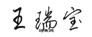 骆恒光王瑞宝行书个性签名怎么写