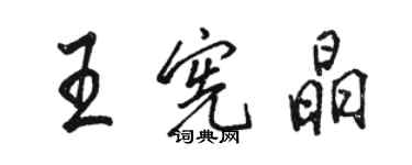 骆恒光王宪晶行书个性签名怎么写
