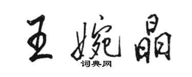 骆恒光王婉晶行书个性签名怎么写
