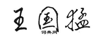 骆恒光王国猛行书个性签名怎么写