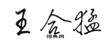 骆恒光王合猛行书个性签名怎么写
