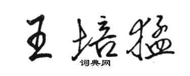 骆恒光王培猛行书个性签名怎么写