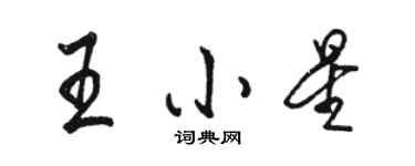 骆恒光王小星行书个性签名怎么写