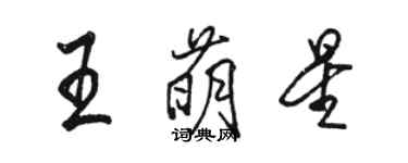 骆恒光王萌星行书个性签名怎么写