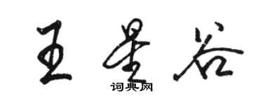 骆恒光王星谷行书个性签名怎么写