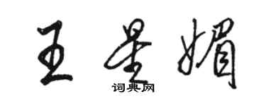 骆恒光王星媚行书个性签名怎么写