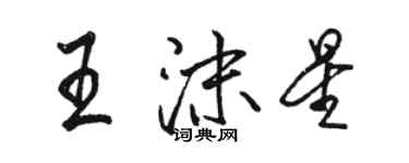 骆恒光王沫星行书个性签名怎么写