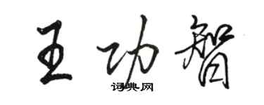 骆恒光王功智行书个性签名怎么写