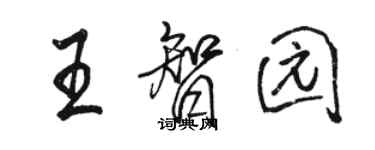 骆恒光王智园行书个性签名怎么写