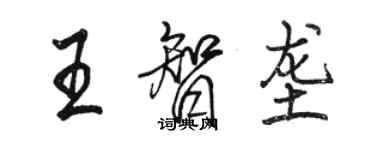 骆恒光王智垄行书个性签名怎么写