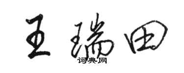 骆恒光王瑞田行书个性签名怎么写