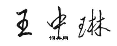 骆恒光王中琳行书个性签名怎么写