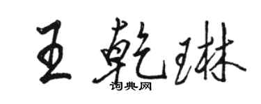 骆恒光王乾琳行书个性签名怎么写