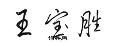 骆恒光王宝胜行书个性签名怎么写