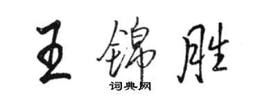 骆恒光王锦胜行书个性签名怎么写