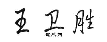 骆恒光王卫胜行书个性签名怎么写