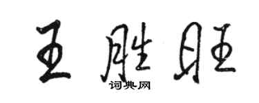 骆恒光王胜旺行书个性签名怎么写