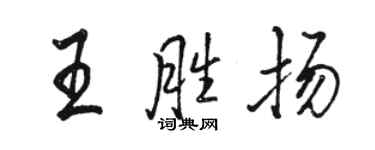 骆恒光王胜扬行书个性签名怎么写