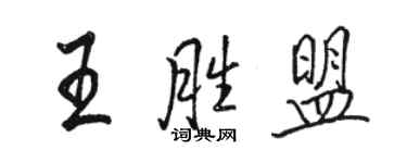 骆恒光王胜盟行书个性签名怎么写