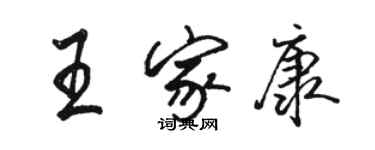 骆恒光王家康行书个性签名怎么写