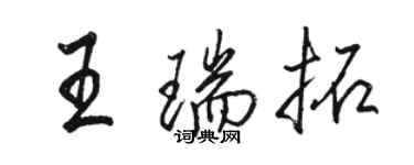 骆恒光王瑞拓行书个性签名怎么写