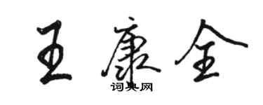 骆恒光王康全行书个性签名怎么写