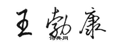 骆恒光王勃康行书个性签名怎么写