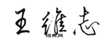 骆恒光王维志行书个性签名怎么写