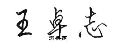 骆恒光王卓志行书个性签名怎么写