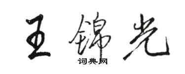 骆恒光王锦光行书个性签名怎么写