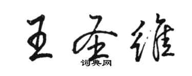 骆恒光王圣维行书个性签名怎么写