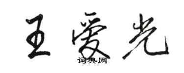 骆恒光王爱光行书个性签名怎么写