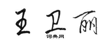 骆恒光王卫丽行书个性签名怎么写