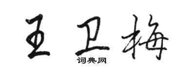骆恒光王卫梅行书个性签名怎么写