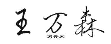骆恒光王万森行书个性签名怎么写