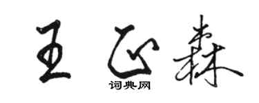 骆恒光王正森行书个性签名怎么写