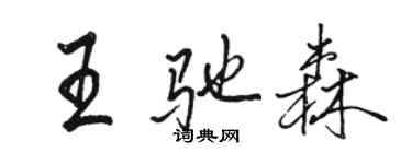 骆恒光王驰森行书个性签名怎么写