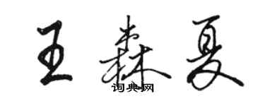 骆恒光王森夏行书个性签名怎么写